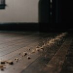 A faint trail of crumbs leading into darkness across a floor &mdash; representing cookie tracking, the small files that follow a person's browsing activity